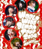 WORLD WIDE DEMPA TOUR 2014 (Blu-ray)
