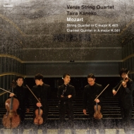 ⡼ĥȡ1756-1791/String Quartet 19 Clarinet Quintet 륺 Sq Verus ʿ(Cl)