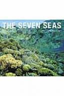 古見きゅう/The Seven Seas
