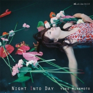 ͵/Night Into Day