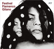 Various/Festival Flamenco Gitano
