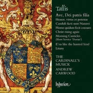 タリス（1505-1585）/Ave Dei Patris Filia-sacred Music： Carwood / The Cardinall's Musick