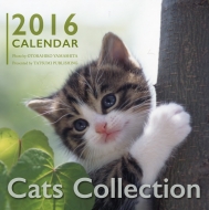 �L���b�c�R���N�V���� 2016 �J�����_�[