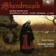 Baroque Classical/Abendmusik-cantatas For Solo Bass： Borgioni(Br) Ciofini(Organ) / Accademia Hermans