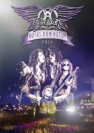 Aerosmith Rocks Donington 2014 (+CD)(限定盤)