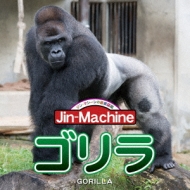 Jin-Machine/ (ҥɥ)