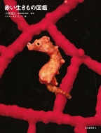 �Ԃ��������̐}��