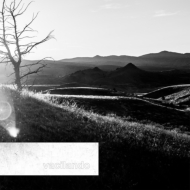 While They Were Dancing