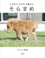 �Ƃт��菬���Ȃ��n���� ����܂�