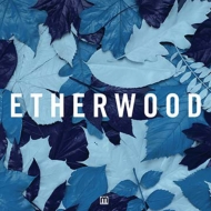 Etherwood/Blue Leaves