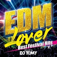 Various/Edm Lover-best Festival Hits-mixed By Dj Tomy