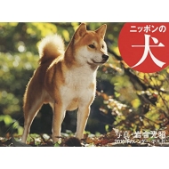 �j�b�|���̌� 2016�N�J�����_�[