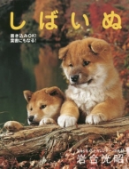 ���΂��� ���^ 2016�N�J�����_�[