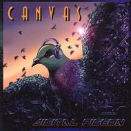Canvas/Digital Pigeon