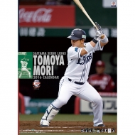 �X�F��(�������C�I���Y)2016�N�J�����_�[