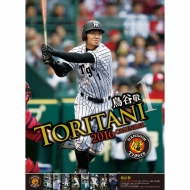 ���J�h(��_�^�C�K�[�X)2016�N�J�����_�[