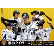 ��_�^�C�K�[�X�`�[���T�߂��� 2016�N���J�����_�[