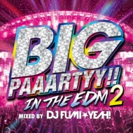 DJ FUMIYEAH!/Big Paaartyy!! In The Edm 2 Mixed By Dj Fumiyeah!