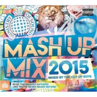 Cut Up Boys/Mash Up Mix 2015