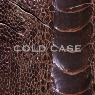 COLD CASE yvisterz(+DVD)