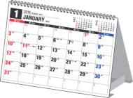 E154�G�R�J�����_�[���b6 2016�N�J�����_�[