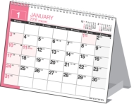 E136�G�R�J�����_�[���a6 2016�N�J�����_�[