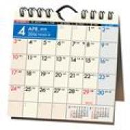 C247 Nolty�J�����_�[ ���47 2016�N�J�����_�[