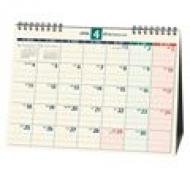 C248 Nolty�J�����_�[ ���48 2016�N�J�����_�[