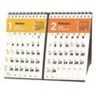 C249 Nolty�J�����_�[ ���51 2016�N�J�����_�[