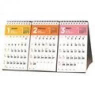 C250 Nolty�J�����_�[ ���52 2016�N�J�����_�[