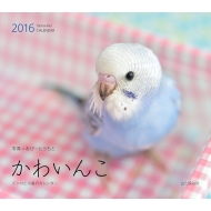 ���킢�� ���}�P�C�J�����_�[ �Ǌ|�^�C�v 2016�N