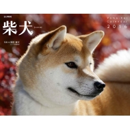 �Č� ���}�P�C�J�����_�[ �Ǌ|�^�C�v 2016�N