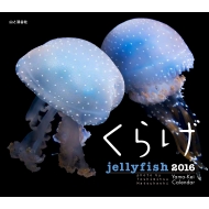 ���炰 Jellyfish ���}�P�C�J�����_�[ �Ǌ|�^�C�v 2016�N