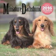 �~�j�`���A�E�_�b�N�X�t���g �唻�J�����_�[ 2016�N