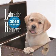 ���u���h�[���E���g���[�o�[ �唻�J�����_�[ 2016�N