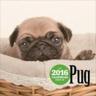 �p�O �唻�J�����_�[ 2016�N