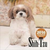 �V�[�E�Y�[ �唻�J�����_�[ 2016�N