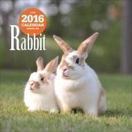 �E�T�M �唻�J�����_�[ 2016�N