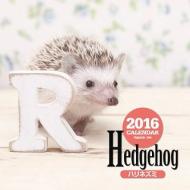 �n���l�Y�~ �唻�J�����_�[ 2016�N