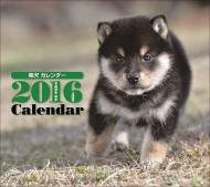 �Č� 2016�N �~�j�J�����_�[