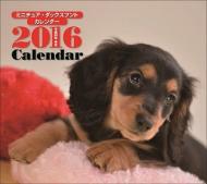 �~�j�`���A�E�_�b�N�X�t���g �~�j�J�����_�[ 2016�N