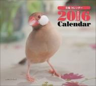 ���� �~�j�J�����_�[ 2016�N