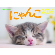 Jtb�̃J�����_�[ �ɂ�� �Ǌ|�^�C�v 2016�N