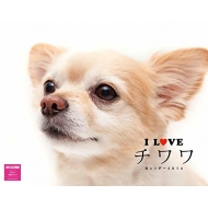 I Love �`�����J�����_�[�Ǌ|�^�C�v 2016�N