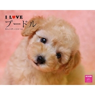 I Love �v�[�h���J�����_�[�Ǌ|�^�C�v 2016�N