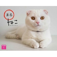 �܂�˂��J�����_�[�Ǌ|�^�C�v 2016�N