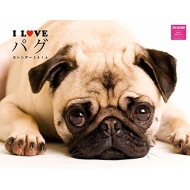 I Love �p�O�J�����_�[�Ǌ|�^�C�v 2016�N