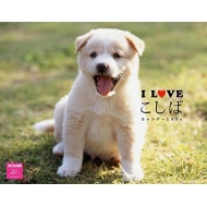 I Love �����΃J�����_�[�Ǌ|�^�C�v 2016�N