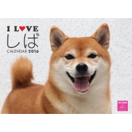 I Love ���΃J�����_�[�Ǌ|�^�C�v 2016�N