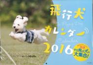 ��s���J�����_�[ �Ǌ|�^�C�v 2016�N